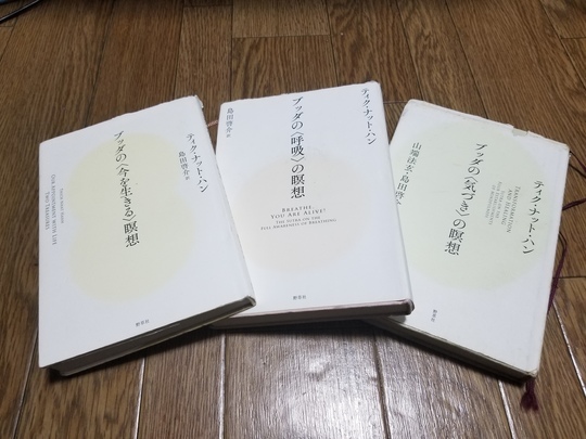 Iapマインドフルネス瞑想サロン Iap横浜相談室 心理カウンセリング トラウマ治療 神奈川県横浜市